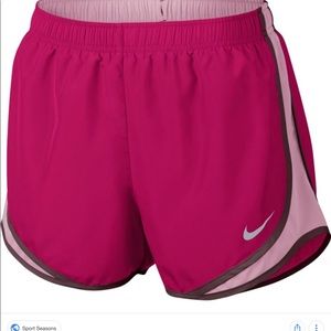 NWT Women’s  Nike Dry Tempo Running Shorts